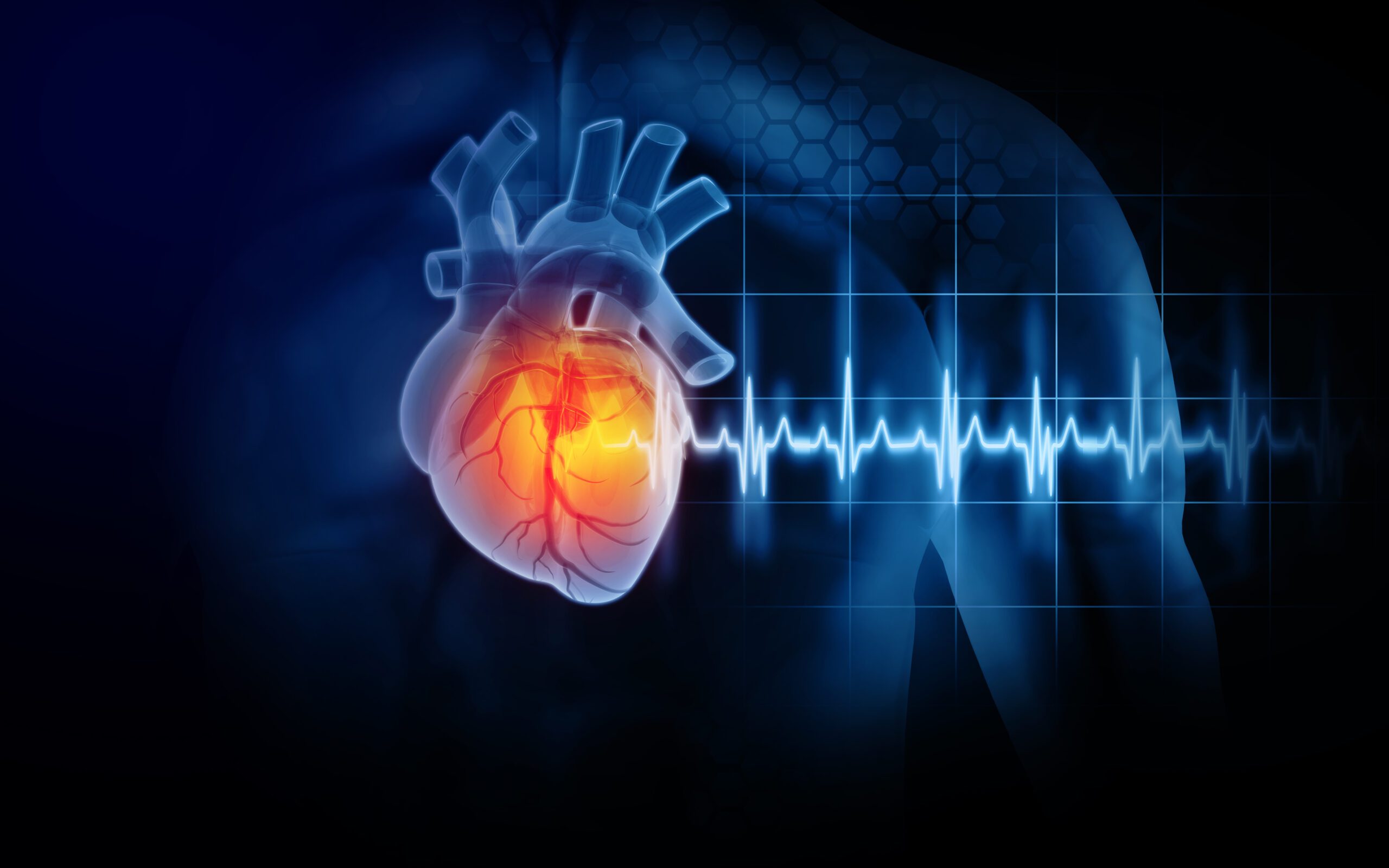 Pop Quiz! Test Your Ticker Knowledge on Heart Disease Risks